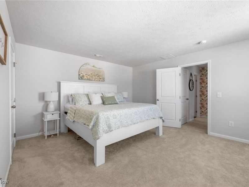 238 Leather Leaf Drive, Elyria, OH 44035 Photo 15