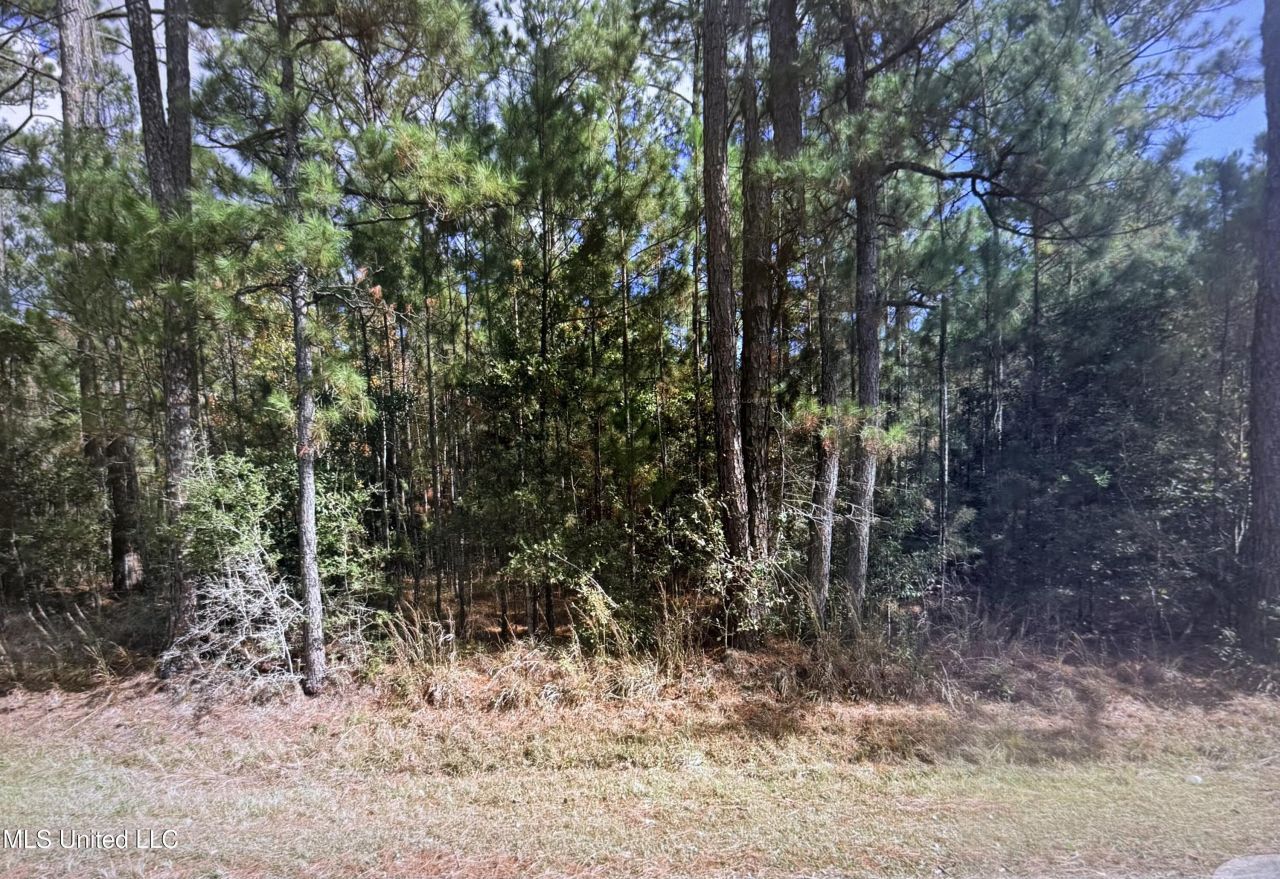 4662 34th Street, Bay Saint Louis, MS 39520 Main Photo