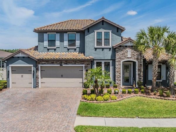 29043 PICANA LANE, WESLEY CHAPEL, FL 33543