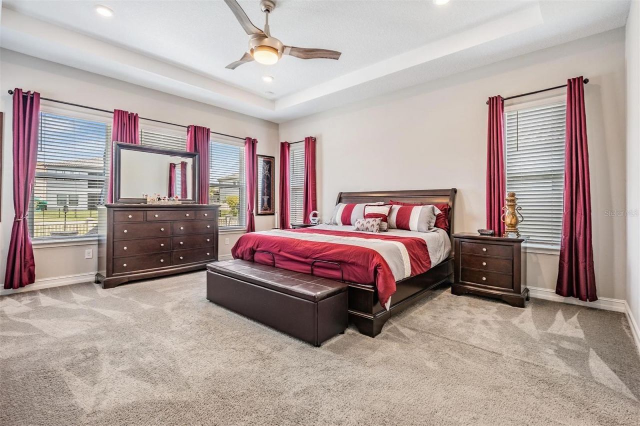 29043 Picana Lane, Wesley Chapel, FL 33543 Photo