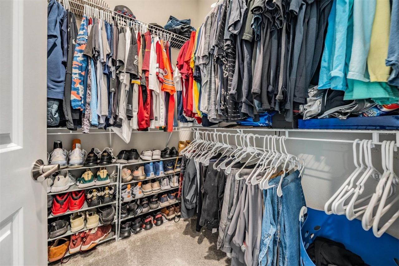 29043 Picana Lane, Wesley Chapel, FL 33543 Photo