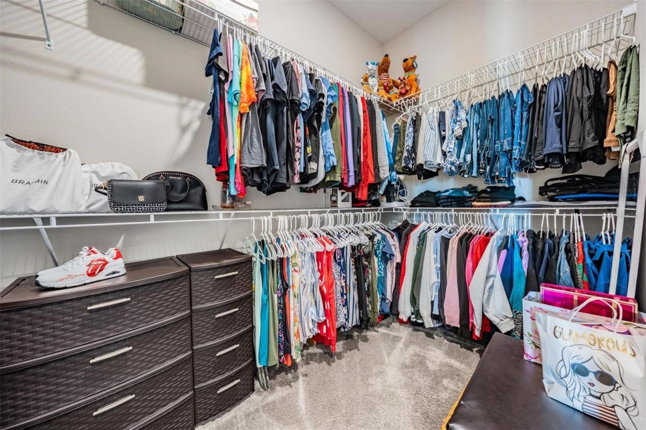 29043 Picana Lane, Wesley Chapel, FL 33543 Photo