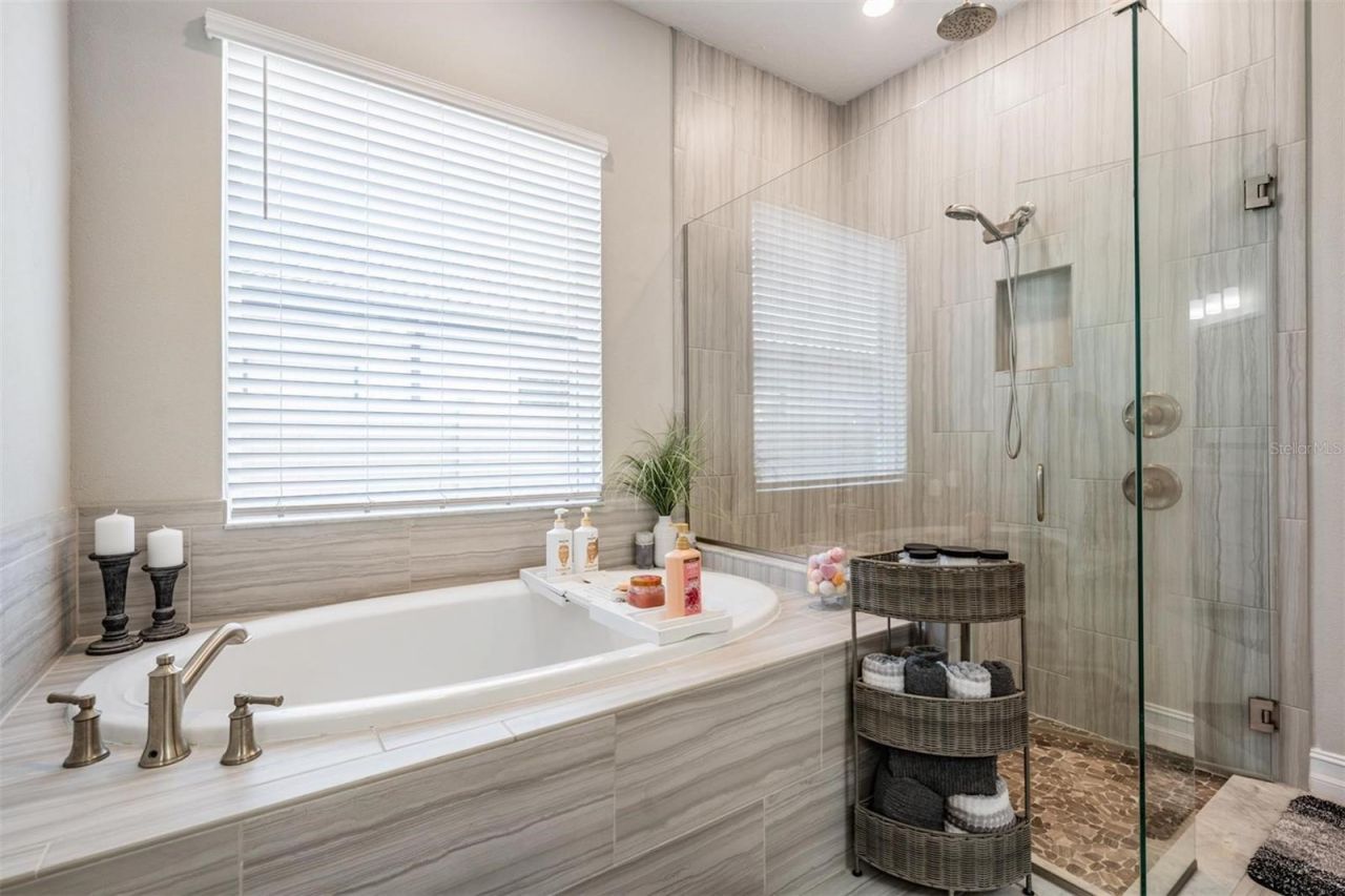 29043 Picana Lane, Wesley Chapel, FL 33543 Photo