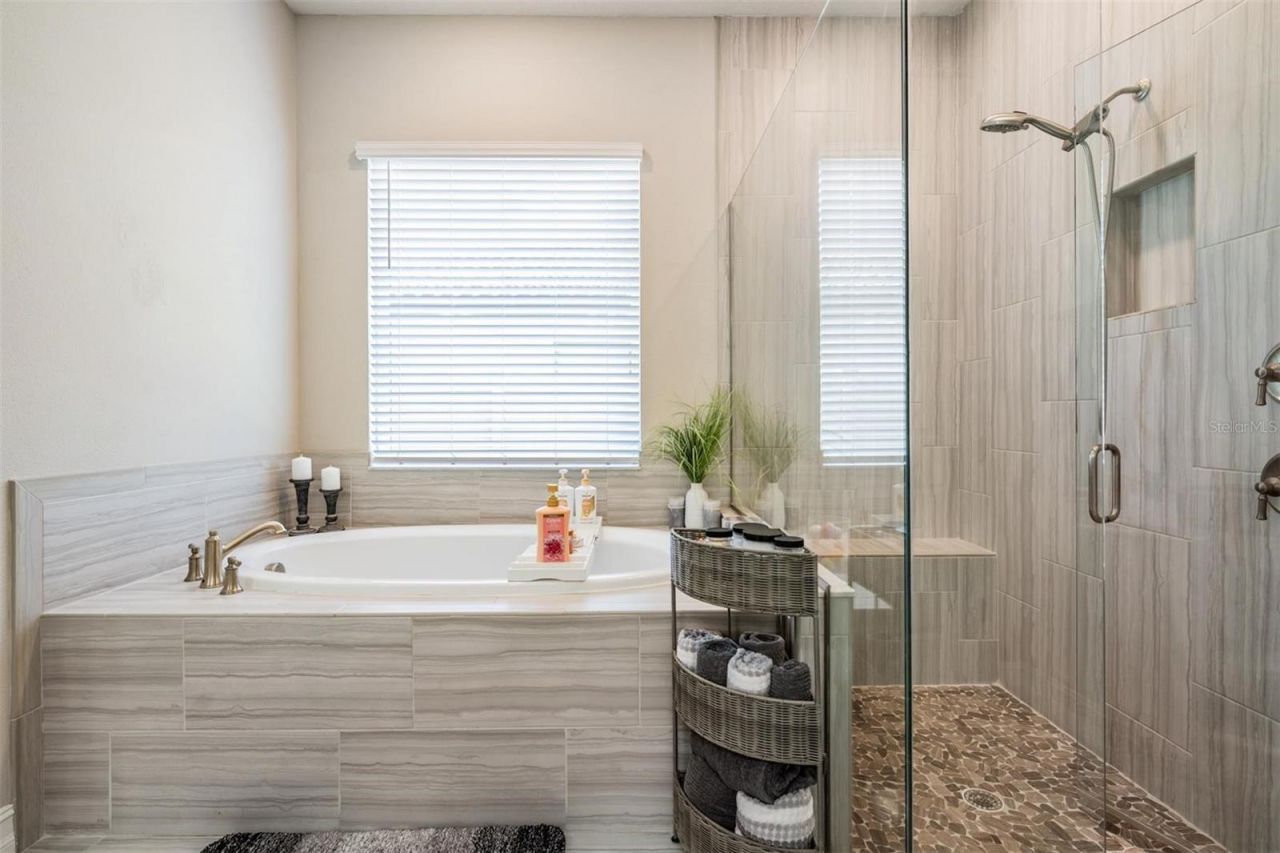 29043 Picana Lane, Wesley Chapel, FL 33543 Photo