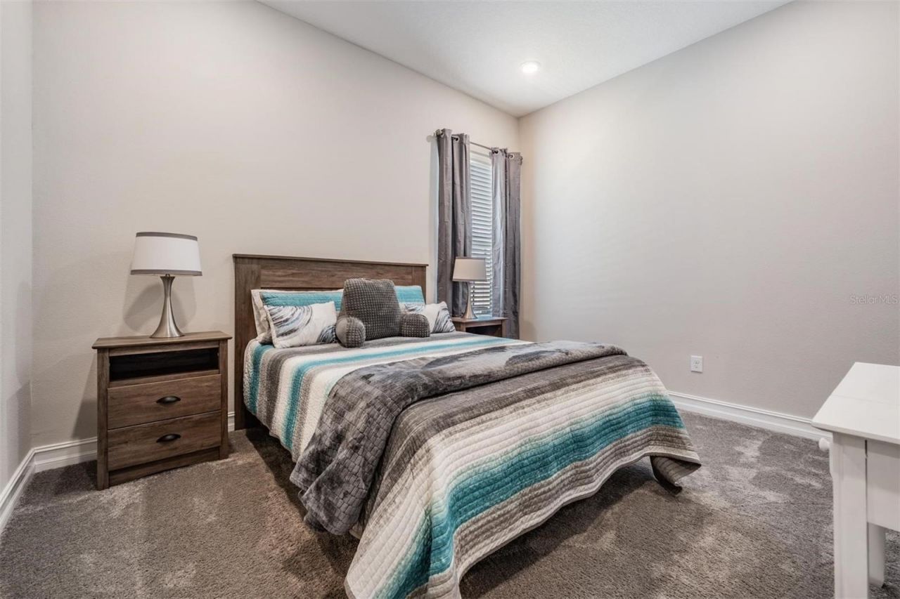 29043 Picana Lane, Wesley Chapel, FL 33543 Photo