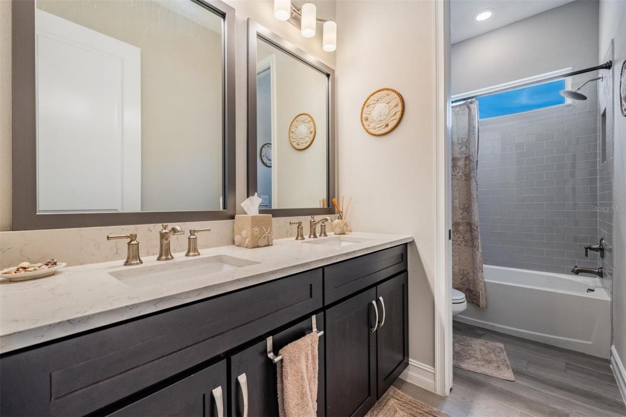 29043 Picana Lane, Wesley Chapel, FL 33543 Photo