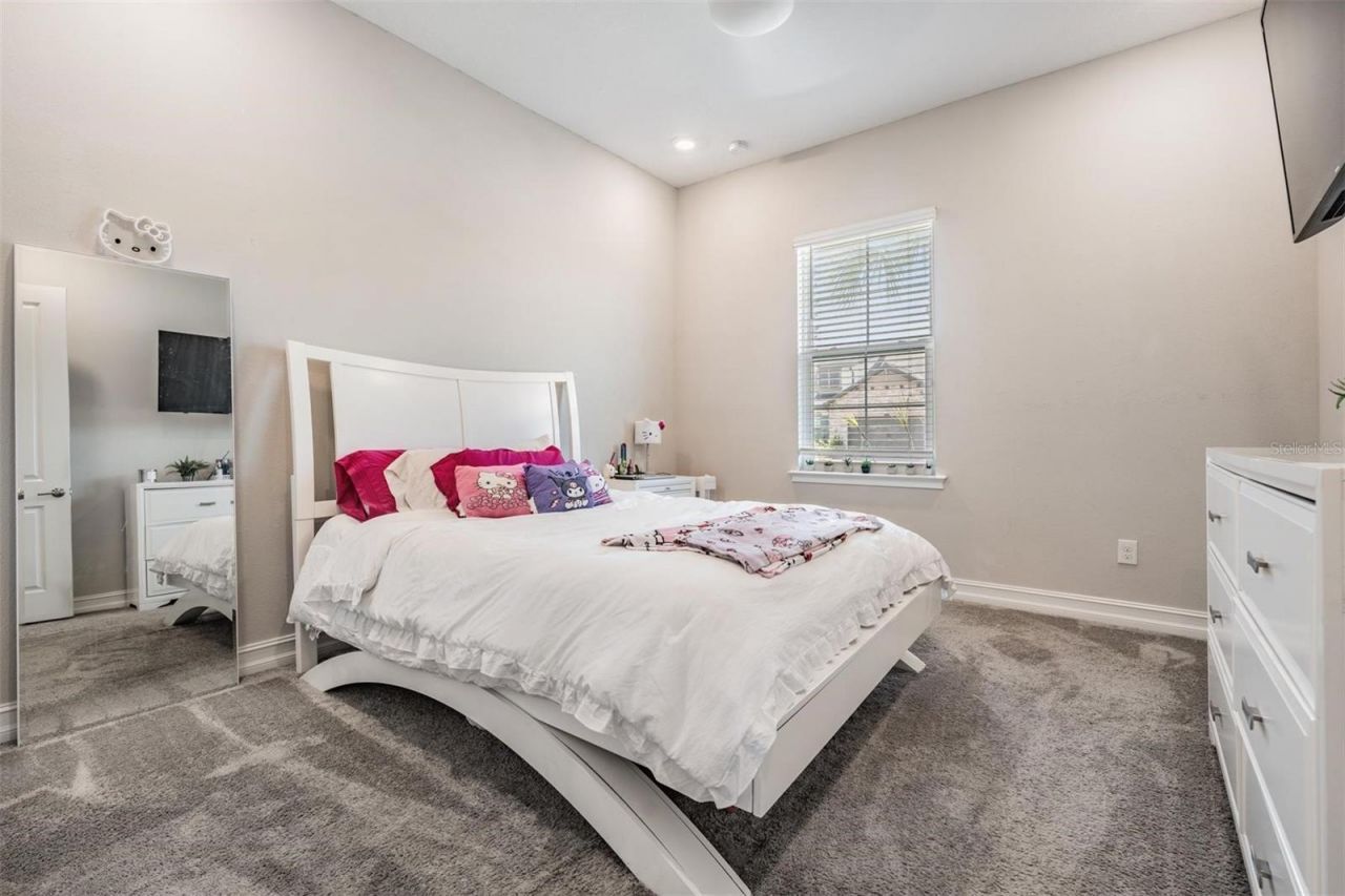 29043 Picana Lane, Wesley Chapel, FL 33543 Photo