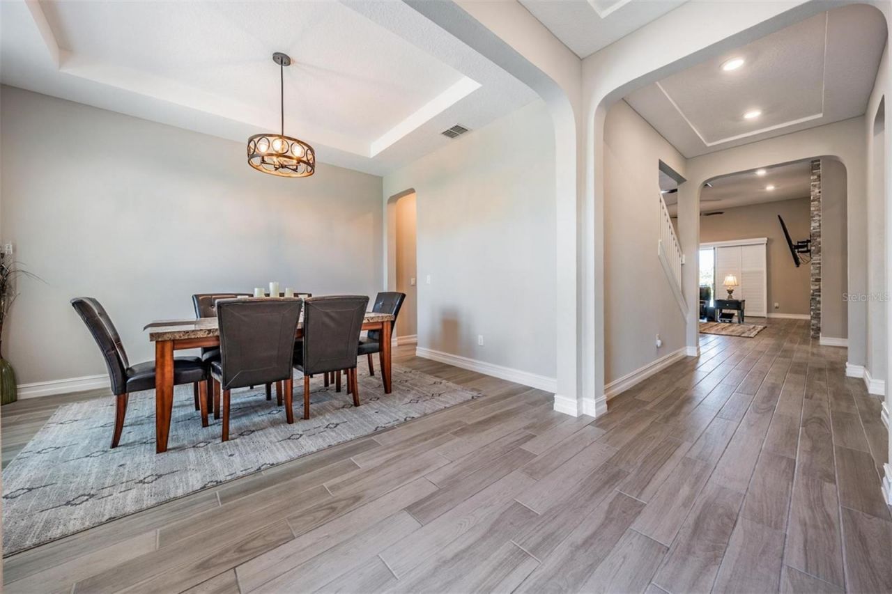 29043 Picana Lane, Wesley Chapel, FL 33543 Photo