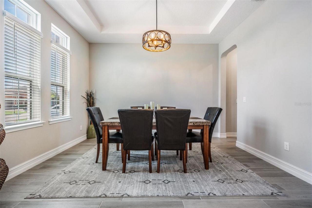 29043 Picana Lane, Wesley Chapel, FL 33543 Photo