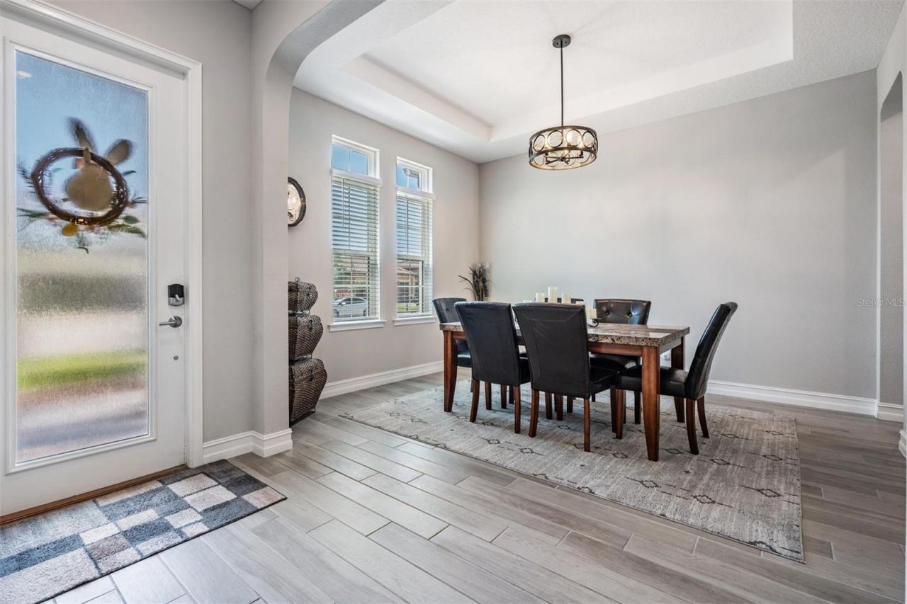 29043 Picana Lane, Wesley Chapel, FL 33543 Photo