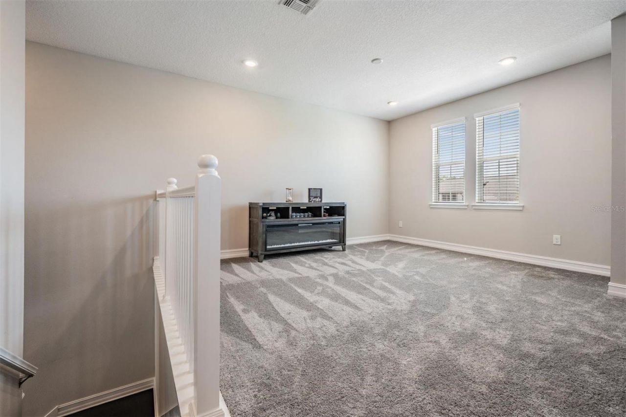 29043 Picana Lane, Wesley Chapel, FL 33543 Photo