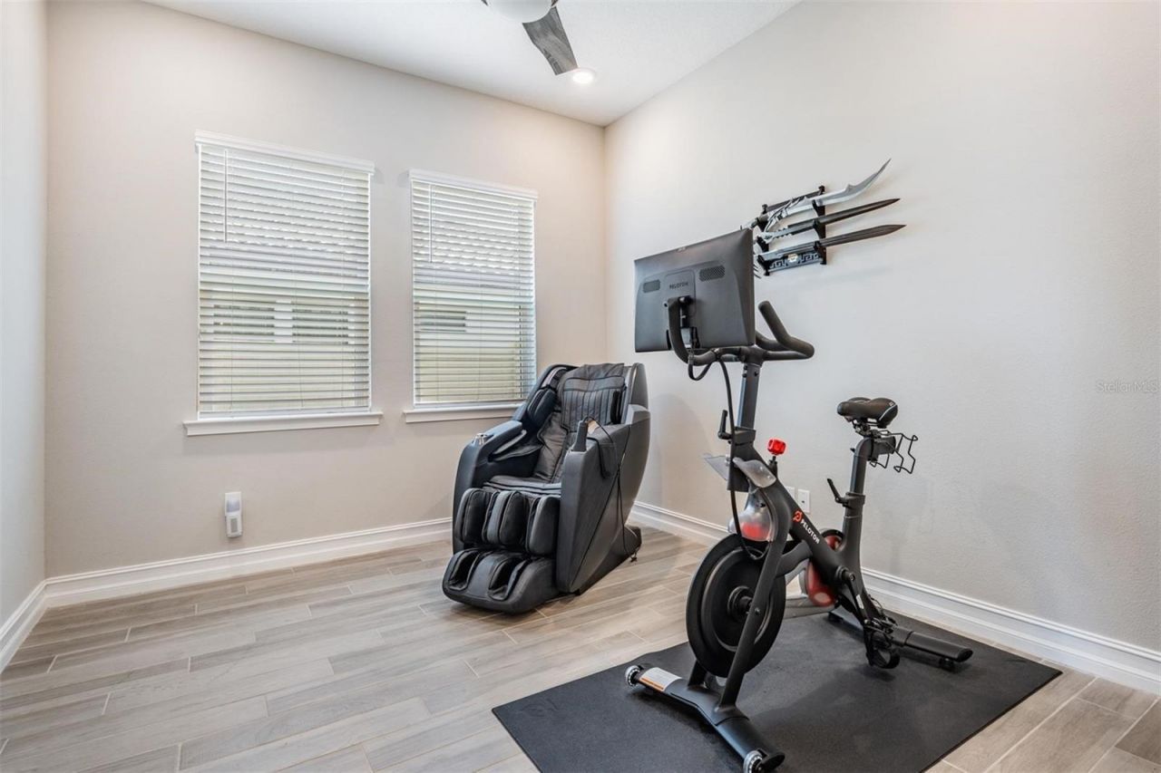 29043 Picana Lane, Wesley Chapel, FL 33543 Photo