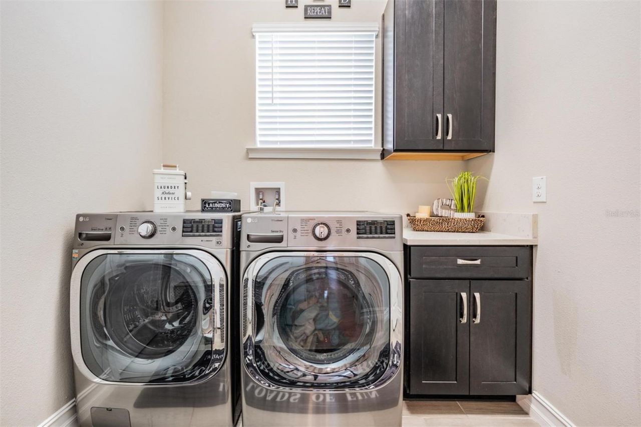 29043 Picana Lane, Wesley Chapel, FL 33543 Photo