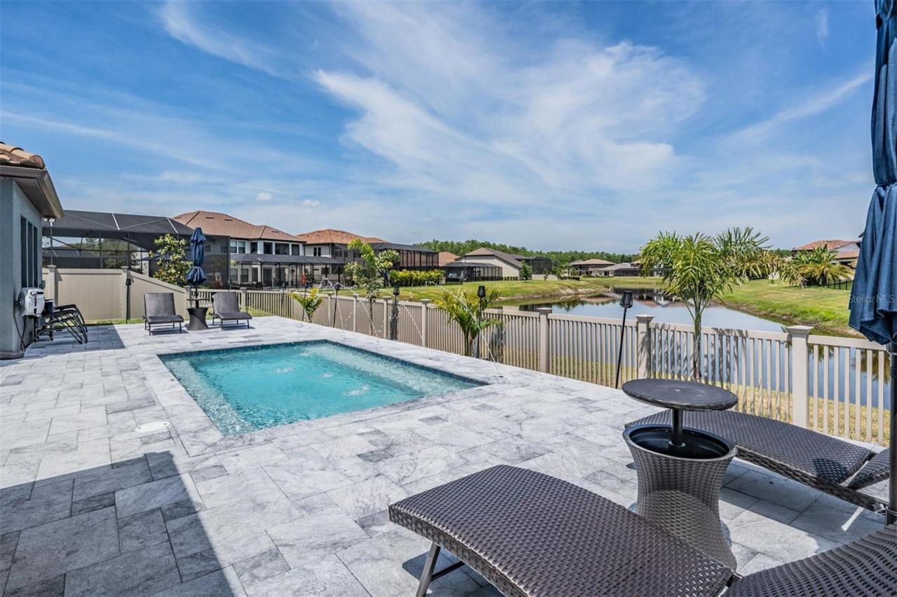 29043 Picana Lane, Wesley Chapel, FL 33543 Photo