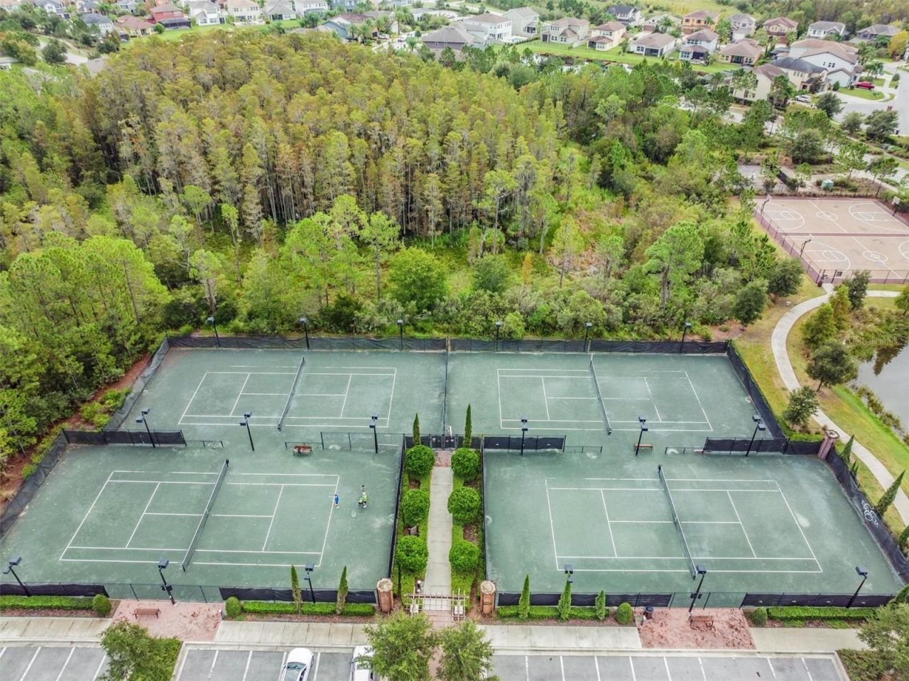 29043 Picana Lane, Wesley Chapel, FL 33543 Photo