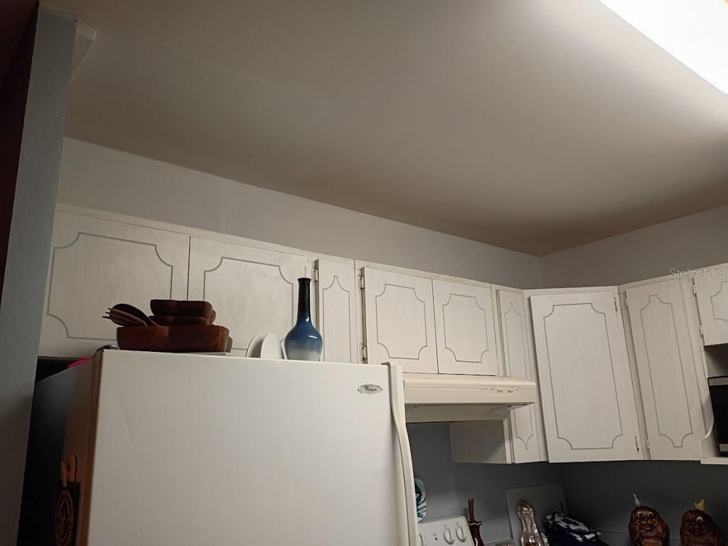 348 Lewis Boulevard Se, Saint Petersburg, FL 33705 Photo