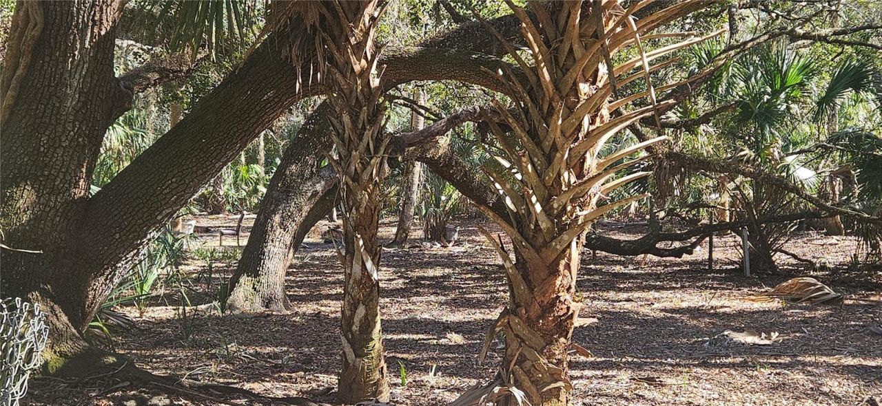 11159 N Clamdigger Terrace, Inglis, FL 34449 Photo