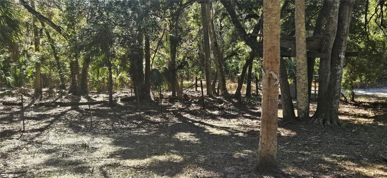 11159 N Clamdigger Terrace, Inglis, FL 34449 Photo