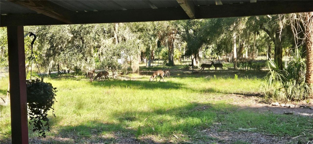 11159 N Clamdigger Terrace, Inglis, FL 34449 Photo