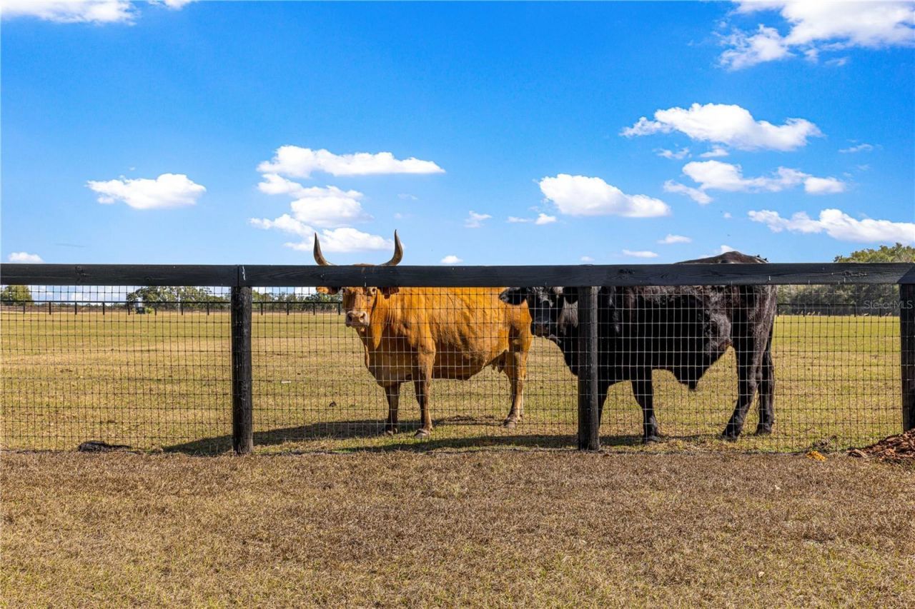 4120 SW 199th Court, Dunnellon, FL 34431 Photo