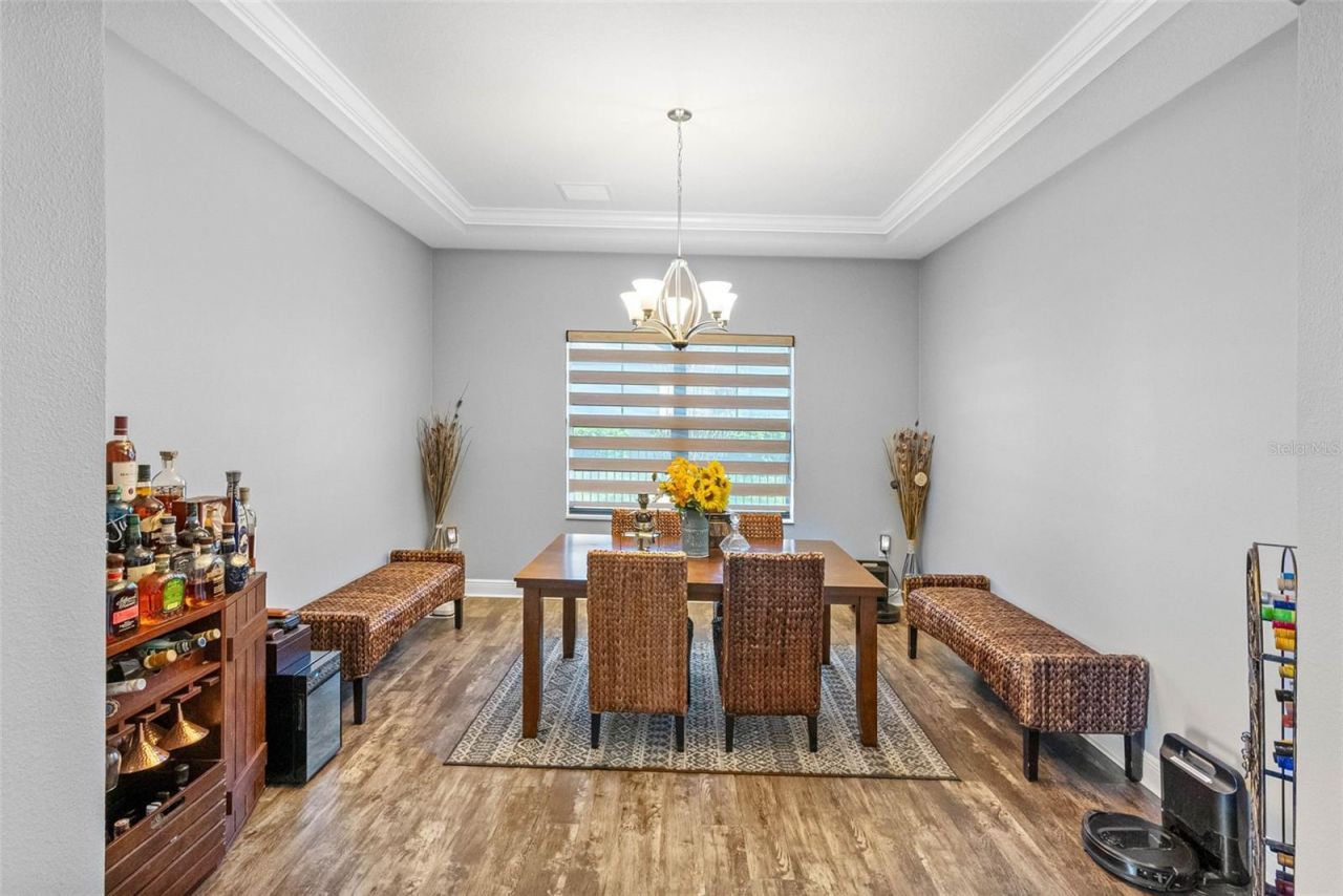 19412 Lonesome Pine Drive, Land O Lakes, FL 34638 Photo