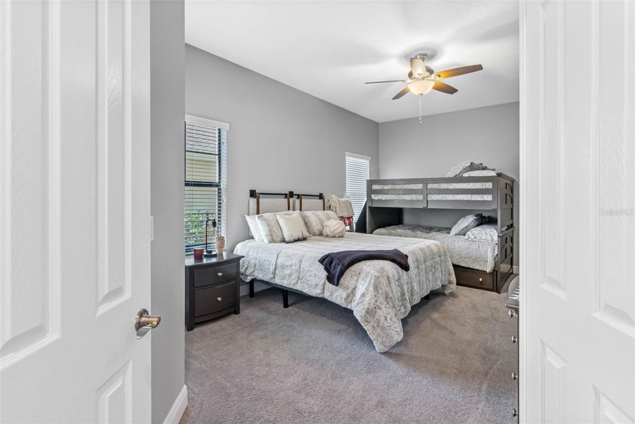 19412 Lonesome Pine Drive, Land O Lakes, FL 34638 Photo