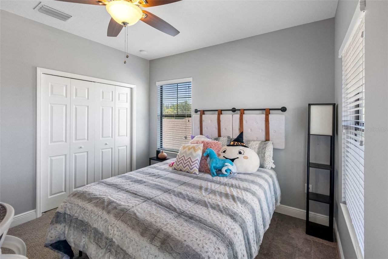 19412 Lonesome Pine Drive, Land O Lakes, FL 34638 Photo