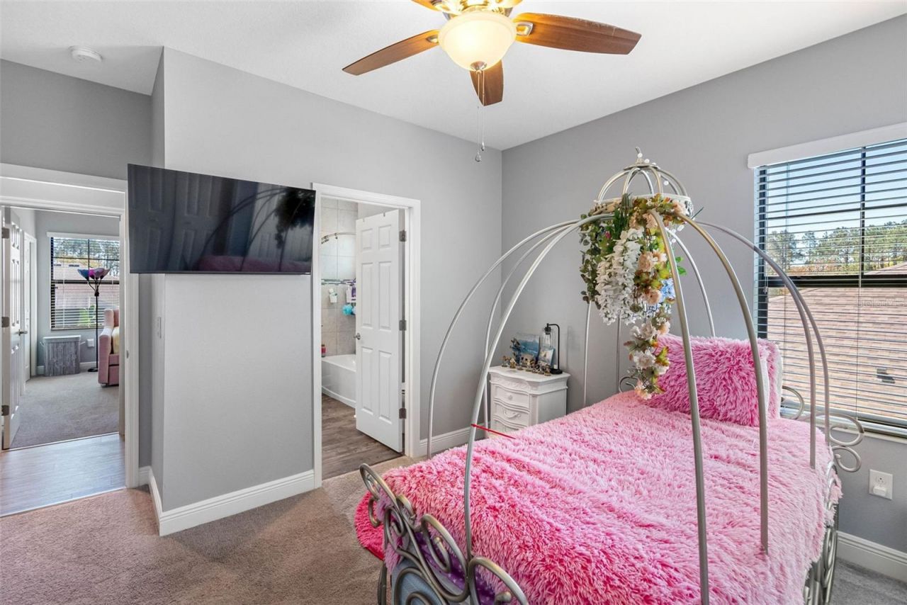 19412 Lonesome Pine Drive, Land O Lakes, FL 34638 Photo