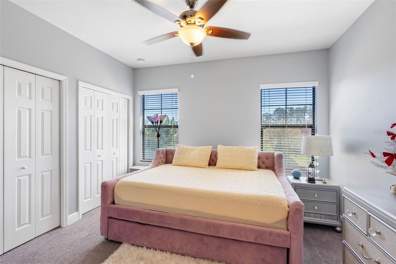 19412 Lonesome Pine Drive, Land O Lakes, FL 34638 Photo