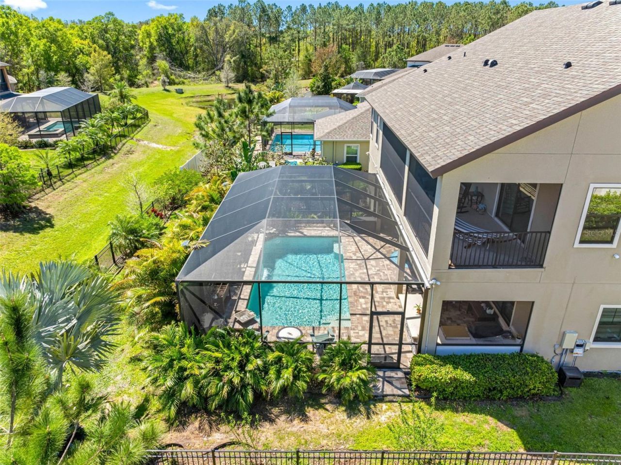 19412 Lonesome Pine Drive, Land O Lakes, FL 34638 Photo