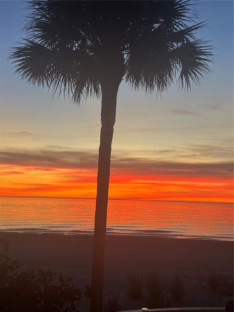 8640 W Gulf Boulevard, Treasure Island, FL 33706 Photo