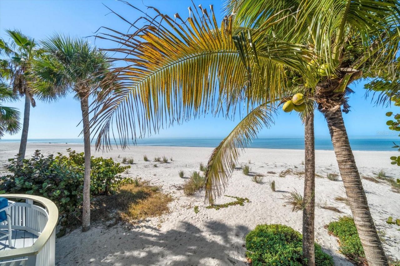 8640 W Gulf Boulevard, Treasure Island, FL 33706 Photo