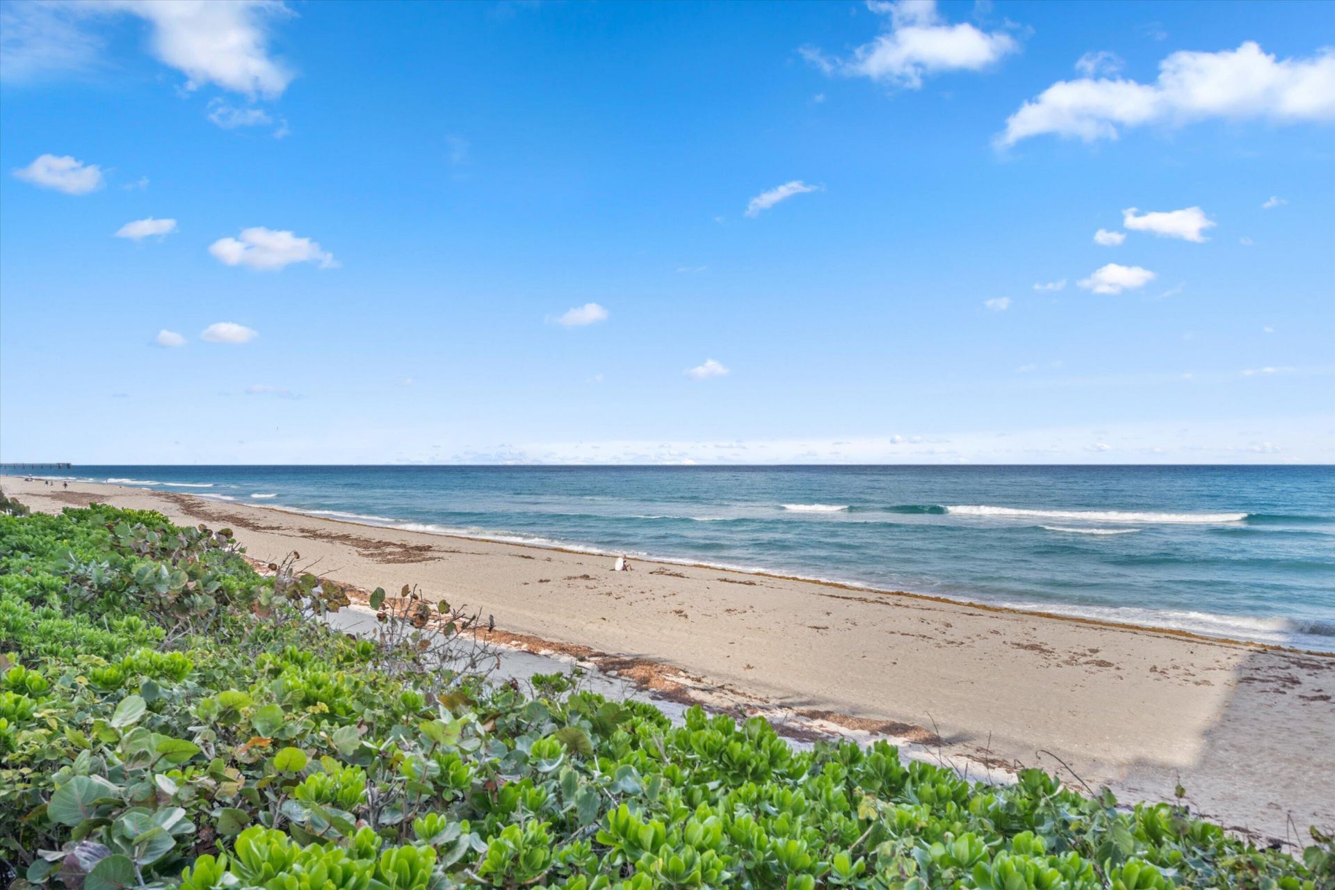 900 Ocean Drive, Unit 504, Juno Beach, FL 33408 Photo