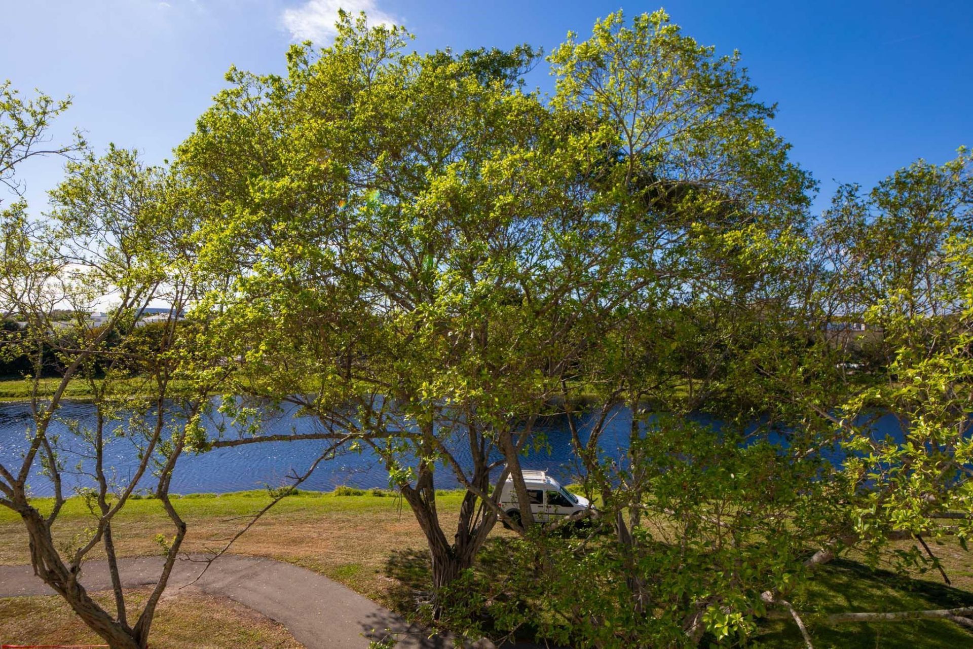 2322 S Cypress Bend Drive, Unit 411, Pompano Beach, FL 33069 Photo