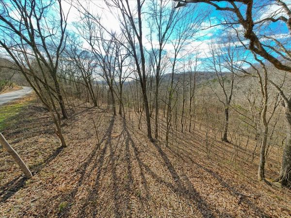 0 Harbor Pointe Dr, Silver Point, TN 38582