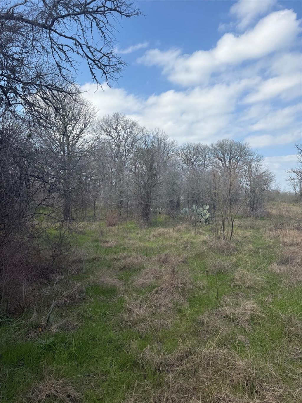 1904 Jasper St, Bastrop, TX 78602 Main Photo