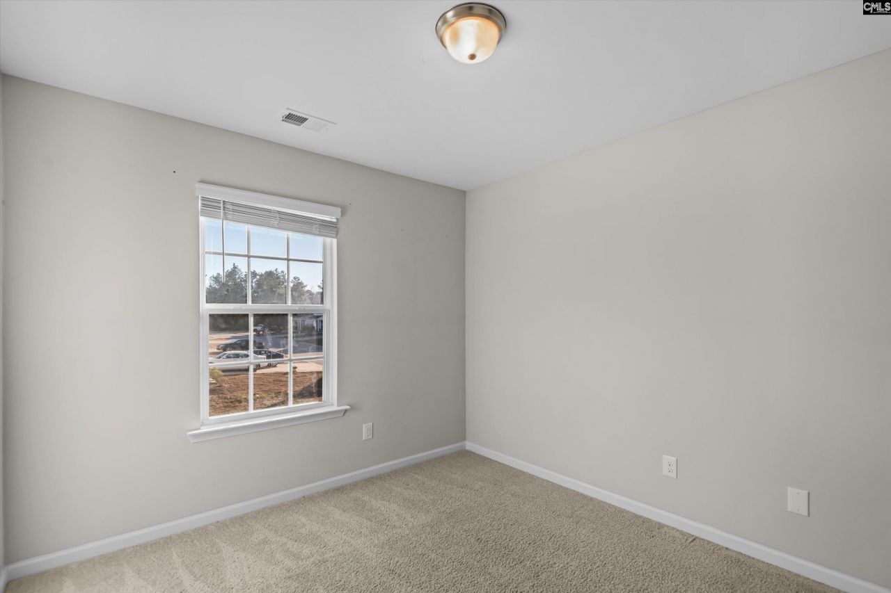 58 Mayapple Drive Photo 26