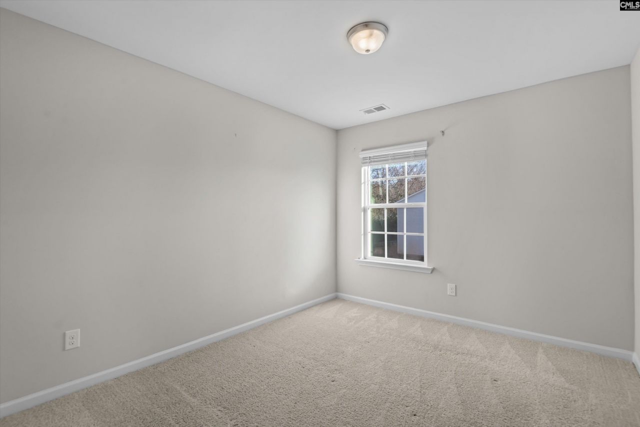 58 Mayapple Drive Photo 27