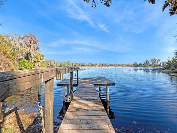 9825 LAKE GEORGIA DRIVE, ORLANDO, FL 32817