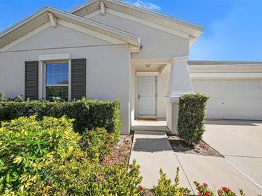 10128 CRESTED FRINGE DRIVE, RIVERVIEW, FL 33578