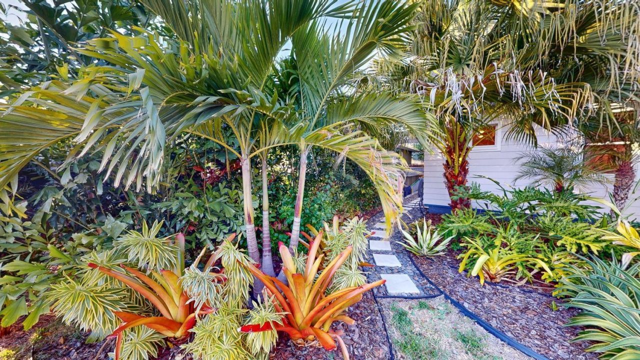 115 21st Avenue Ne, Saint Petersburg, FL 33704 Photo