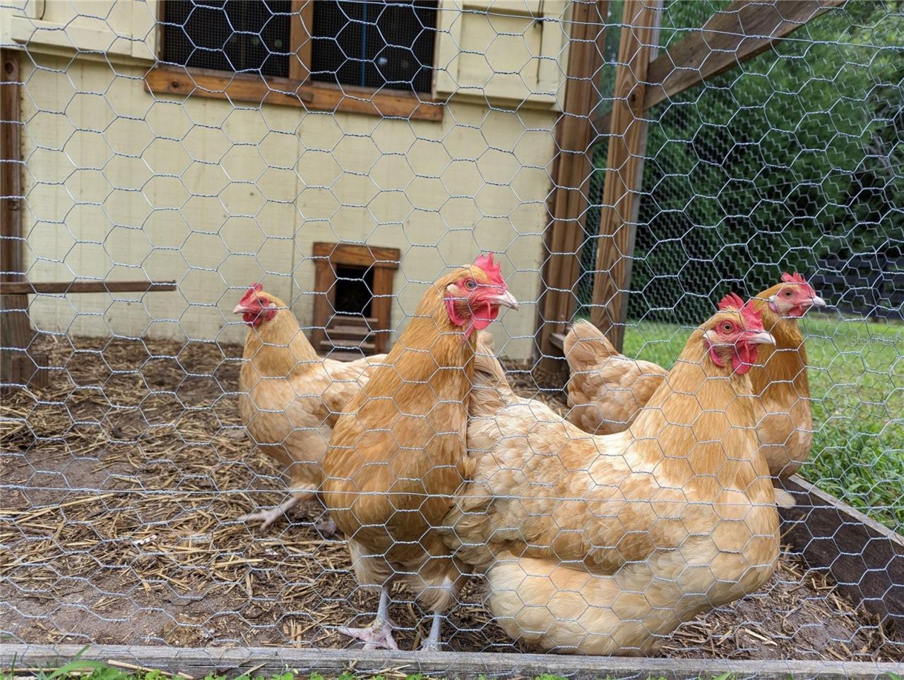 9145 NW 193 Street, Micanopy, FL 32667 Photo