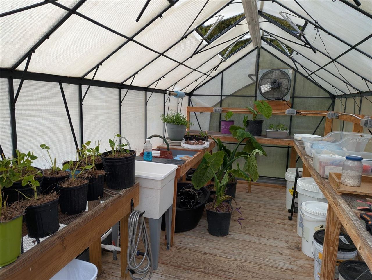 9145 NW 193 Street, Micanopy, FL 32667 Photo