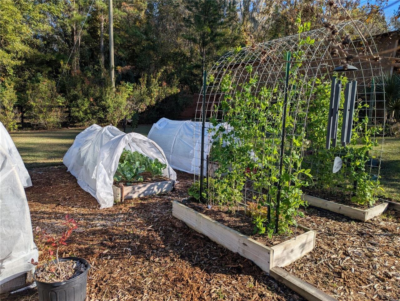 9145 NW 193 Street, Micanopy, FL 32667 Photo