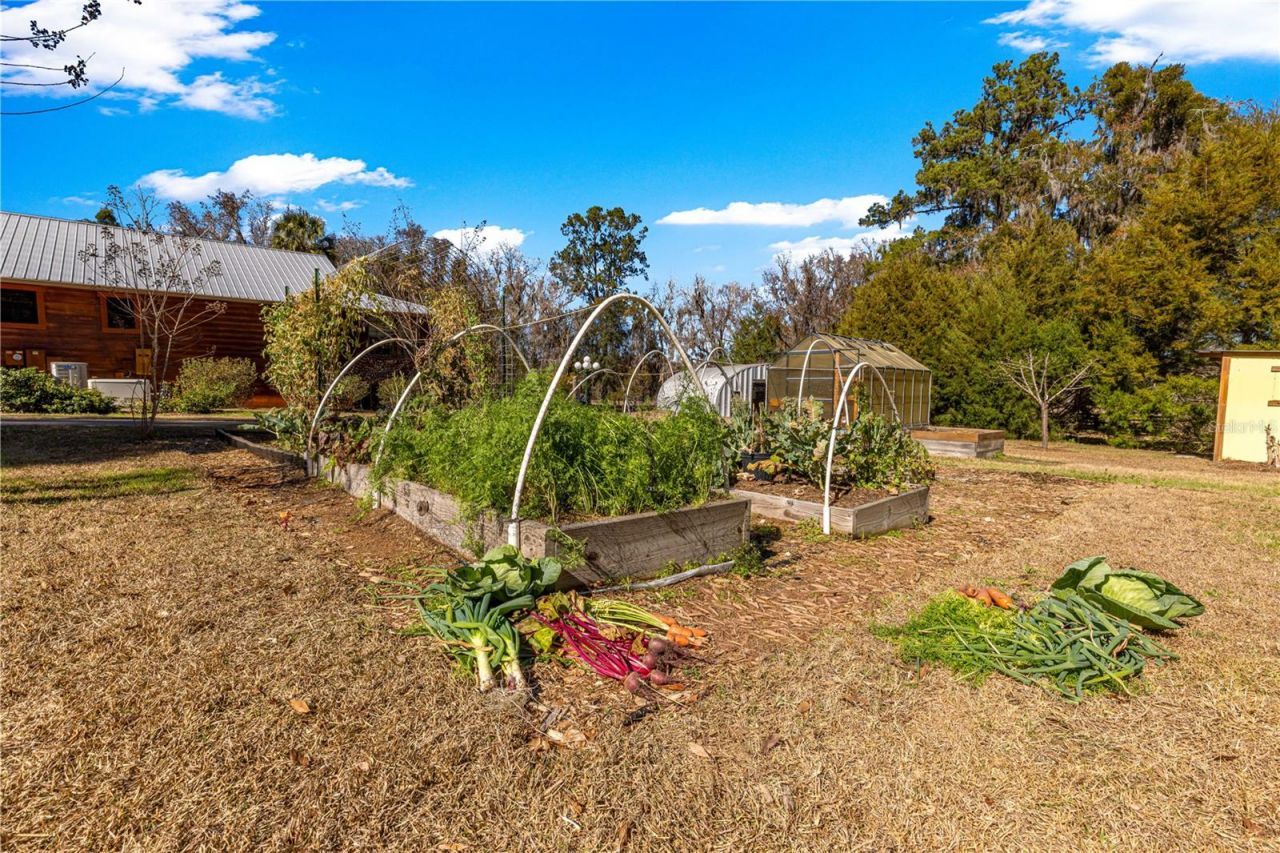 9145 NW 193 Street, Micanopy, FL 32667 Photo