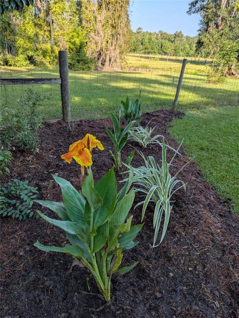 9145 NW 193 Street, Micanopy, FL 32667 Photo