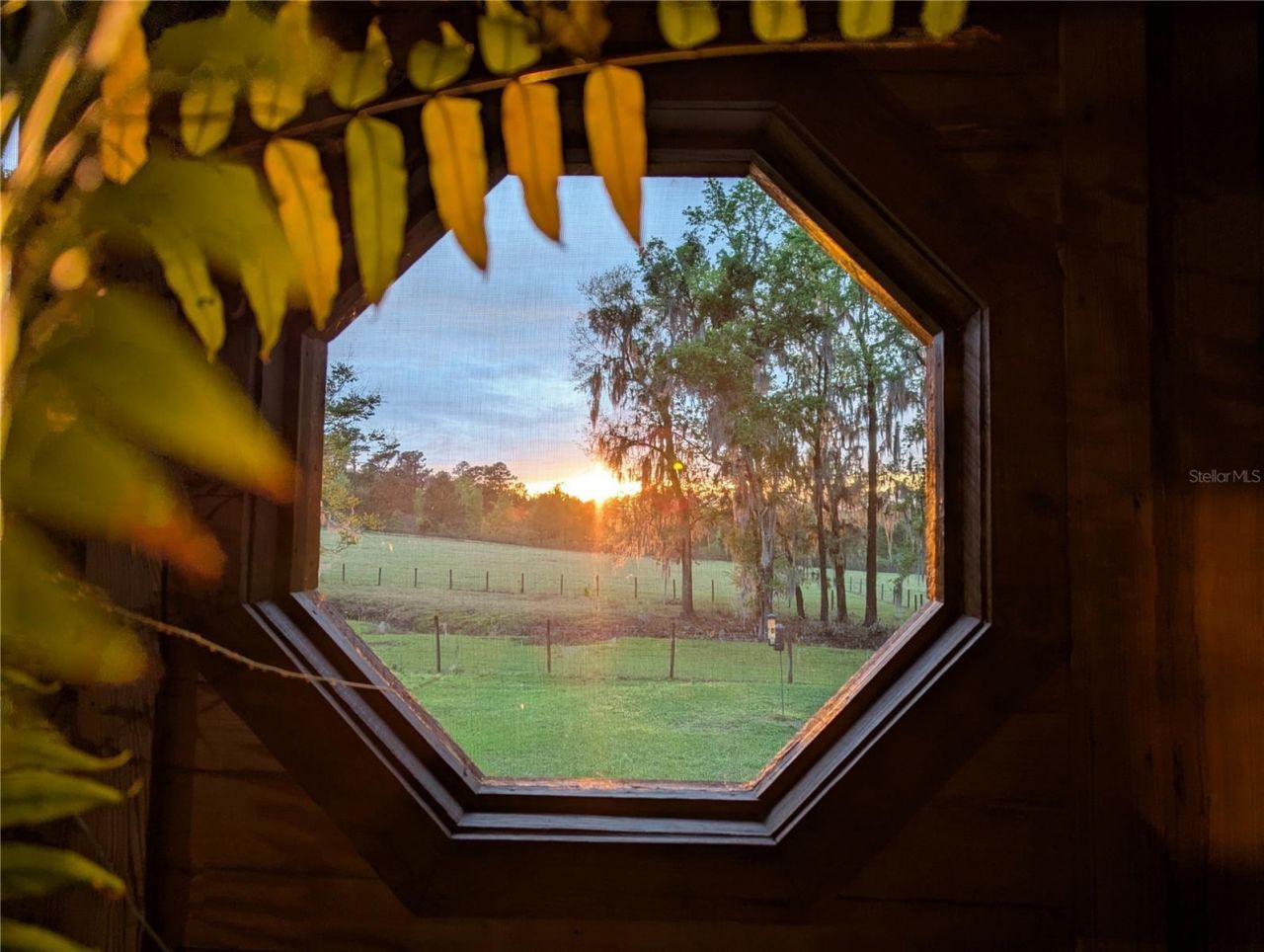 9145 NW 193 Street, Micanopy, FL 32667 Photo