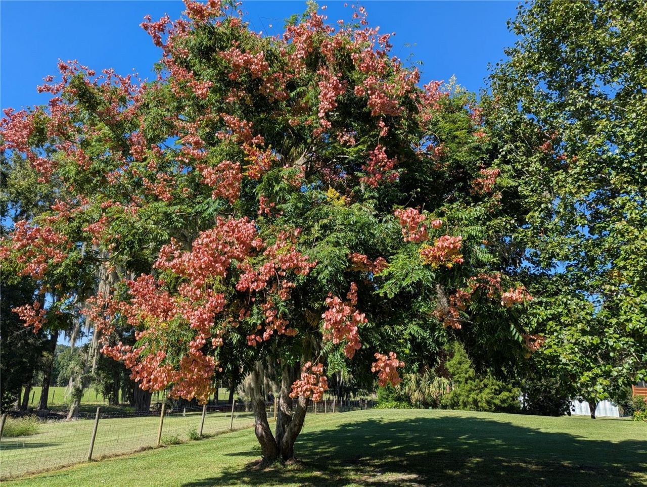 9145 NW 193 Street, Micanopy, FL 32667 Photo