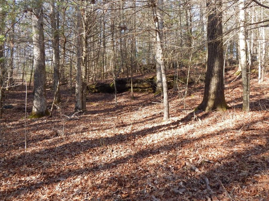 Property Image 4