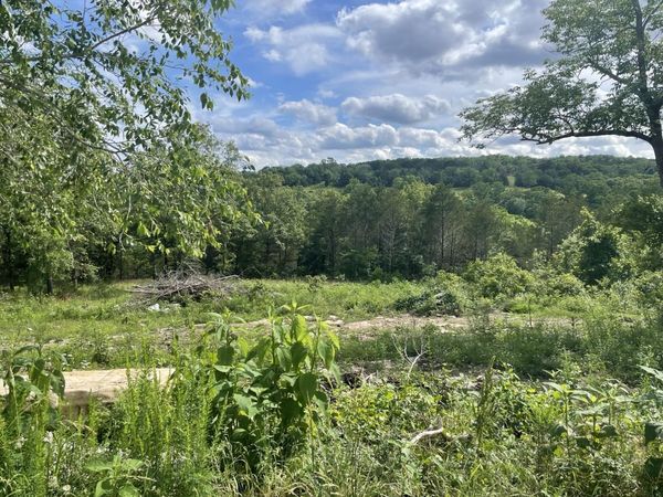 738 Wellington Parkway, Kirbyville, MO 65679